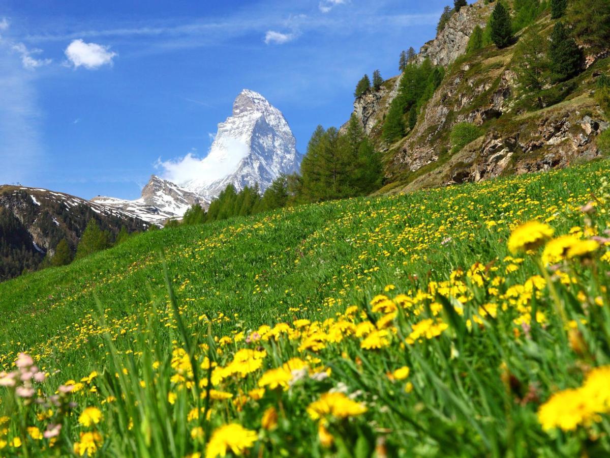 Apartment Bellevue-6 By Interhome Zermatt Esterno foto